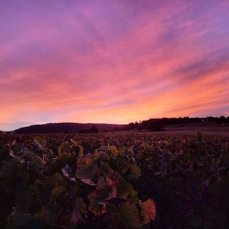 Le Clos Du Botaniste Pouilly-le-Monial Exterior photo